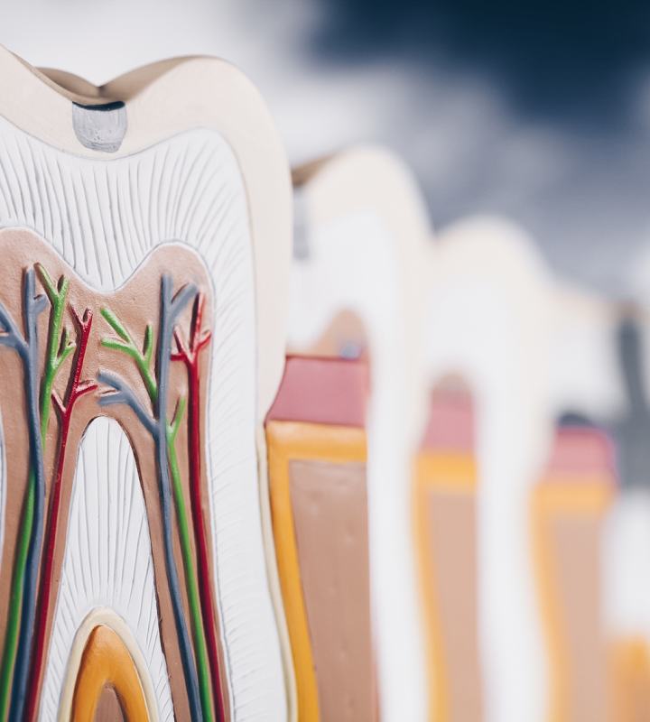 Dentiste Orangerie, Strasbourg | Esthétique & Implant image Planification numérique et chirurgie guidée : précision et sécurité Implantologie : des solutions innovantes pour restaurer votre sourire